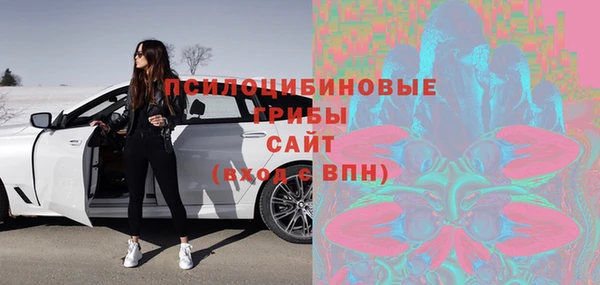 ПСИЛОЦИБИНОВЫЕ ГРИБЫ Снежногорск