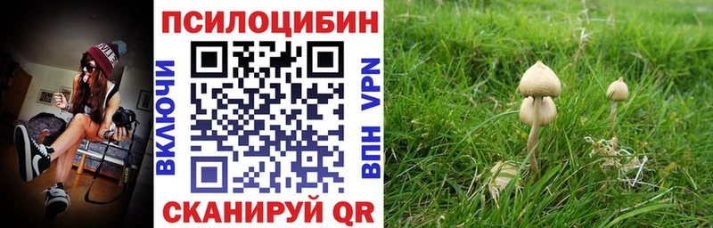 Псилоцибиновые грибы прущие грибы  Купить где  Ильский 