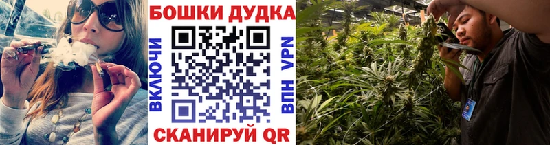 Купить где  Ильский  Бошки марихуана Bruce Banner 